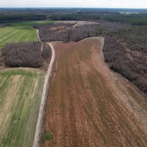 Photo #28 of SOLD property in 1543 McGoogan Farm Road, Shannon, NC 194.9 acres