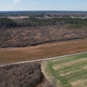 Photo #29 of SOLD property in 1543 McGoogan Farm Road, Shannon, NC 194.9 acres