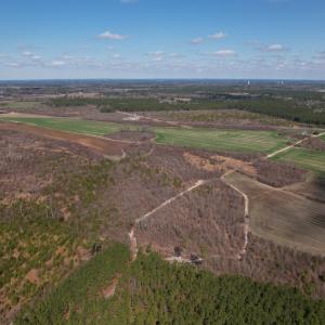 Photo #4 of SOLD property in 1543 McGoogan Farm Road, Shannon, NC 194.9 acres