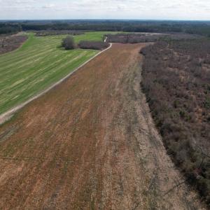 Photo #31 of SOLD property in 1543 McGoogan Farm Road, Shannon, NC 194.9 acres
