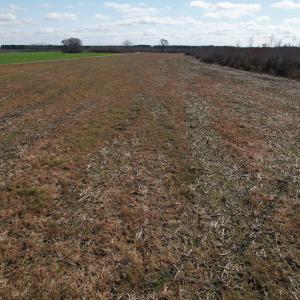 Photo #32 of SOLD property in 1543 McGoogan Farm Road, Shannon, NC 194.9 acres