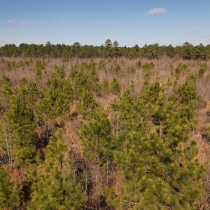 Photo #33 of SOLD property in 1543 McGoogan Farm Road, Shannon, NC 194.9 acres