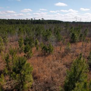 Photo #35 of SOLD property in 1543 McGoogan Farm Road, Shannon, NC 194.9 acres