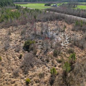 Photo #36 of SOLD property in 1543 McGoogan Farm Road, Shannon, NC 194.9 acres