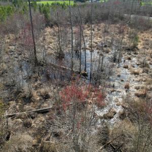 Photo #37 of SOLD property in 1543 McGoogan Farm Road, Shannon, NC 194.9 acres