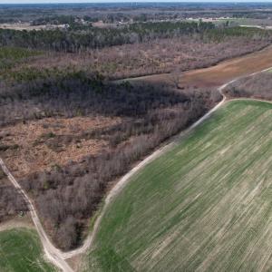 Photo #39 of SOLD property in 1543 McGoogan Farm Road, Shannon, NC 194.9 acres