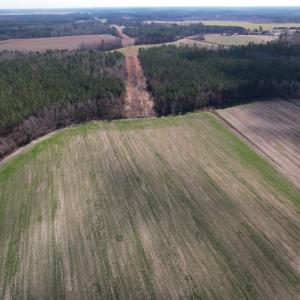 Photo #40 of SOLD property in 1543 McGoogan Farm Road, Shannon, NC 194.9 acres