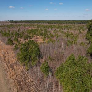 Photo #7 of SOLD property in 1543 McGoogan Farm Road, Shannon, NC 194.9 acres