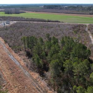 Photo #9 of SOLD property in 1543 McGoogan Farm Road, Shannon, NC 194.9 acres