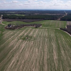 Photo #10 of SOLD property in 1543 McGoogan Farm Road, Shannon, NC 194.9 acres