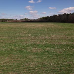 Photo #41 of SOLD property in 1543 McGoogan Farm Road, Shannon, NC 194.9 acres