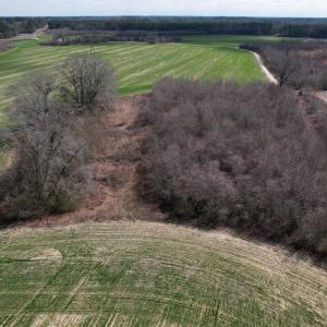 Photo #48 of SOLD property in 1543 McGoogan Farm Road, Shannon, NC 194.9 acres