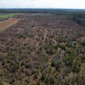 Photo #49 of SOLD property in 1543 McGoogan Farm Road, Shannon, NC 194.9 acres
