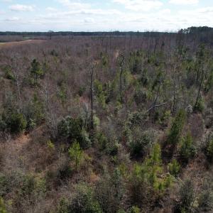 Photo #50 of SOLD property in 1543 McGoogan Farm Road, Shannon, NC 194.9 acres