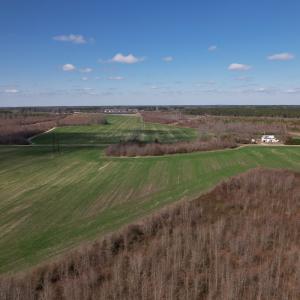 Photo #52 of SOLD property in 1543 McGoogan Farm Road, Shannon, NC 194.9 acres