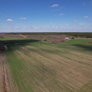 Photo #53 of SOLD property in 1543 McGoogan Farm Road, Shannon, NC 194.9 acres