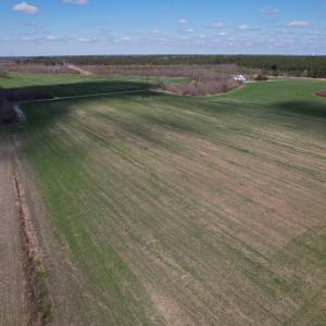 Photo #54 of SOLD property in 1543 McGoogan Farm Road, Shannon, NC 194.9 acres
