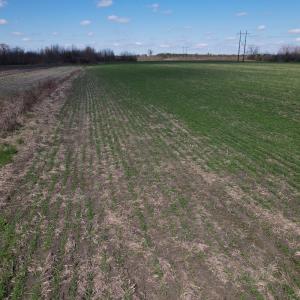 Photo #55 of SOLD property in 1543 McGoogan Farm Road, Shannon, NC 194.9 acres