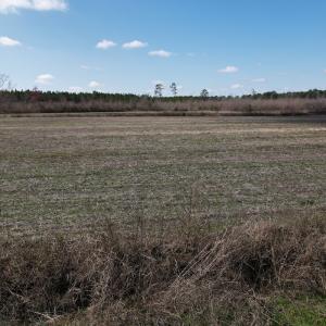 Photo #56 of SOLD property in 1543 McGoogan Farm Road, Shannon, NC 194.9 acres