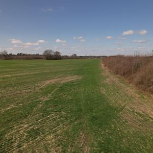 Photo #57 of SOLD property in 1543 McGoogan Farm Road, Shannon, NC 194.9 acres