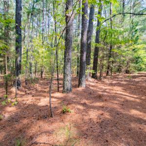Photo #9 of SOLD property in Off Jeffries Cross Road, Burlington, NC 7.3 acres