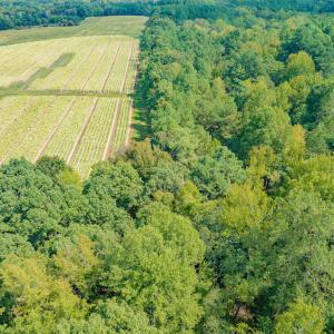 Photo #12 of SOLD property in Off Jeffries Cross Road, Burlington, NC 7.3 acres