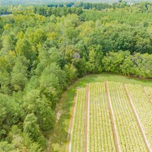 Photo #15 of SOLD property in Off Jeffries Cross Road, Burlington, NC 7.3 acres