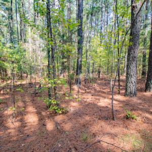 Photo #7 of SOLD property in Off Jeffries Cross Road, Burlington, NC 7.3 acres