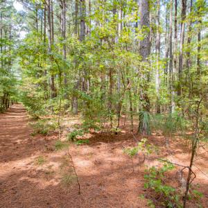Photo #8 of SOLD property in Off Jeffries Cross Road, Burlington, NC 7.3 acres