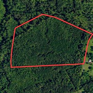 Photo #1 of SOLD property in Off Nannie Burton Road, Louisa, VA 63.1 acres