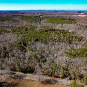 Photo #4 of SOLD property in Off Nannie Burton Road, Louisa, VA 63.1 acres