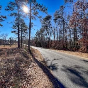 Photo #5 of SOLD property in Off Nannie Burton Road, Louisa, VA 63.1 acres