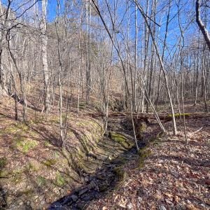 Photo #9 of SOLD property in Off Nannie Burton Road, Louisa, VA 63.1 acres