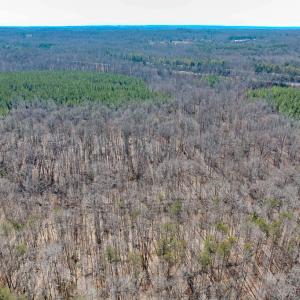 Photo #10 of SOLD property in Off Nannie Burton Road, Louisa, VA 63.1 acres