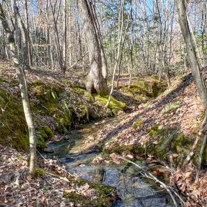 Photo #11 of SOLD property in Off Nannie Burton Road, Louisa, VA 63.1 acres