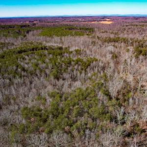 Photo #12 of SOLD property in Off Nannie Burton Road, Louisa, VA 63.1 acres