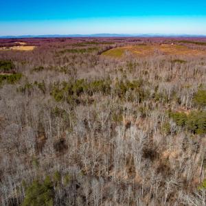 Photo #16 of SOLD property in Off Nannie Burton Road, Louisa, VA 63.1 acres