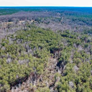 Photo #18 of SOLD property in Off Nannie Burton Road, Louisa, VA 63.1 acres