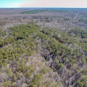 Photo #19 of SOLD property in Off Nannie Burton Road, Louisa, VA 63.1 acres