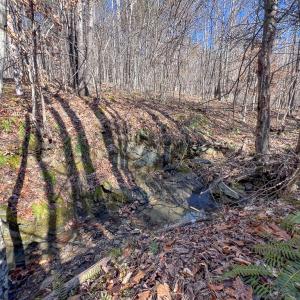 Photo #22 of SOLD property in Off Nannie Burton Road, Louisa, VA 63.1 acres
