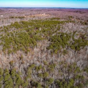 Photo #23 of SOLD property in Off Nannie Burton Road, Louisa, VA 63.1 acres