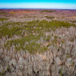 Photo #25 of SOLD property in Off Nannie Burton Road, Louisa, VA 63.1 acres