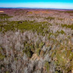 Photo #27 of SOLD property in Off Nannie Burton Road, Louisa, VA 63.1 acres