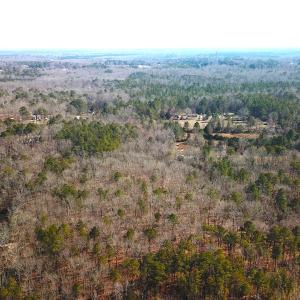 Photo #3 of SOLD property in 15908 Exter Mill Rd, Chesterfield, VA 12.3 acres