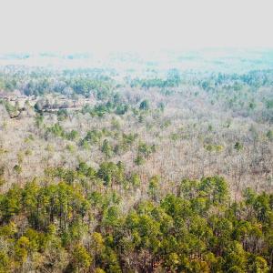 Photo #4 of SOLD property in 15908 Exter Mill Rd, Chesterfield, VA 12.3 acres