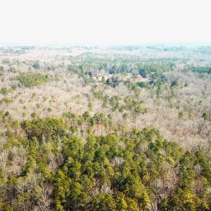 Photo #5 of SOLD property in 15908 Exter Mill Rd, Chesterfield, VA 12.3 acres