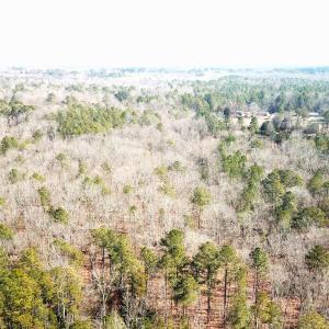 Photo #6 of SOLD property in 15908 Exter Mill Rd, Chesterfield, VA 12.3 acres