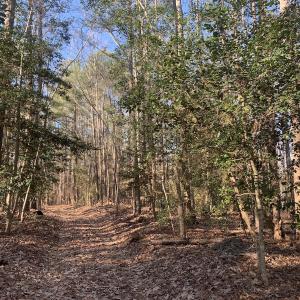 Photo #8 of SOLD property in 15908 Exter Mill Rd, Chesterfield, VA 12.3 acres