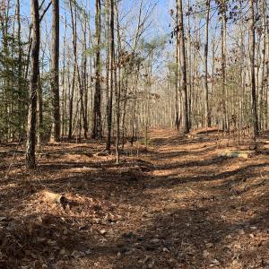 Photo #12 of SOLD property in 15908 Exter Mill Rd, Chesterfield, VA 12.3 acres