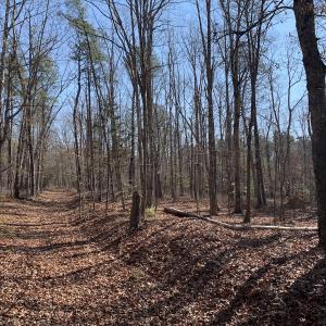 Photo #16 of SOLD property in 15908 Exter Mill Rd, Chesterfield, VA 12.3 acres